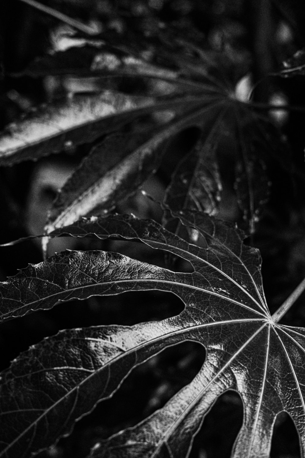 unnamed — копия 2.jpg