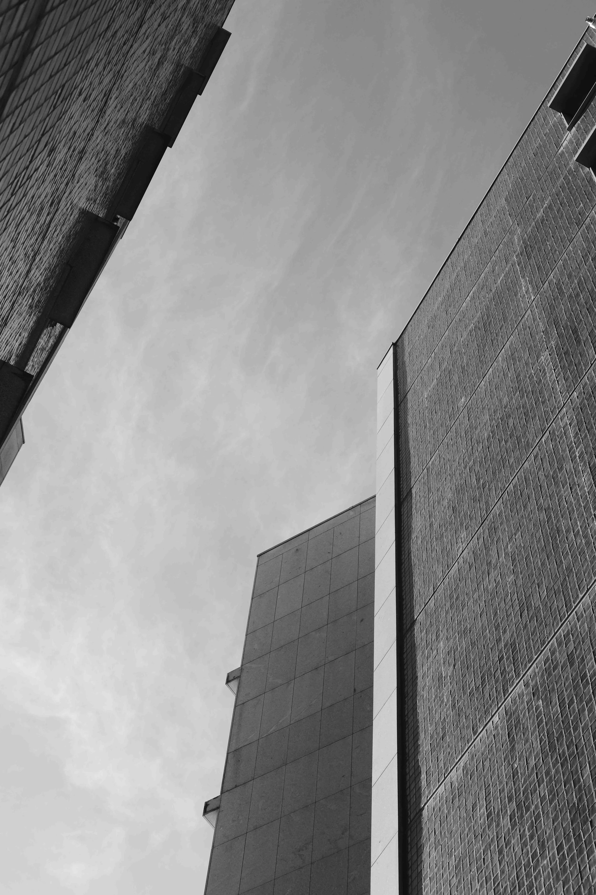 DSCF9175 3.jpg