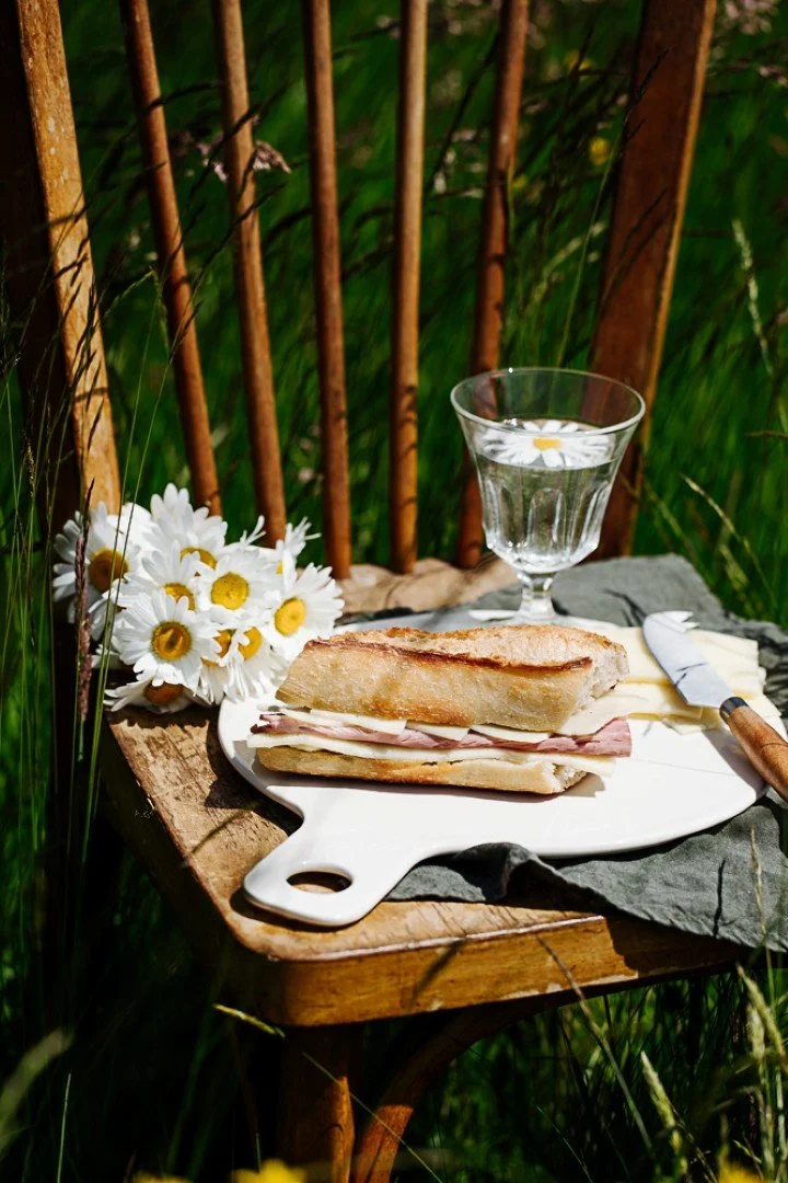 photographie sandwich au fromage en extérieur dans un champ sur une chaise