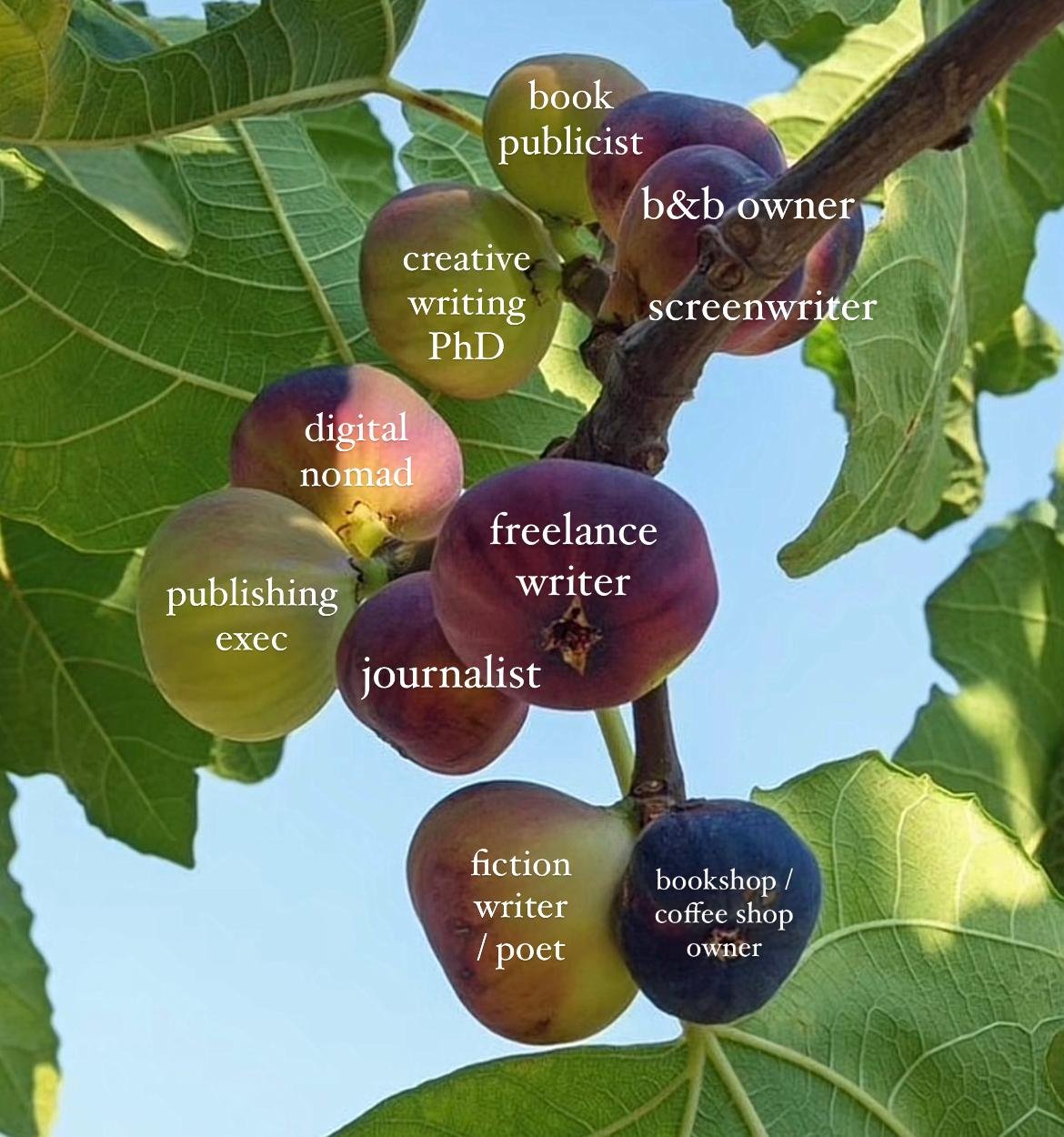 What's on your fig tree? 🌱 The audio of this quote from The Bell Jar by Sylvia Plath is trending on TikTok right now:

&ldquo;I saw my life branching out before me like the green fig tree in the story. From the tip of every branch, like a fat purple