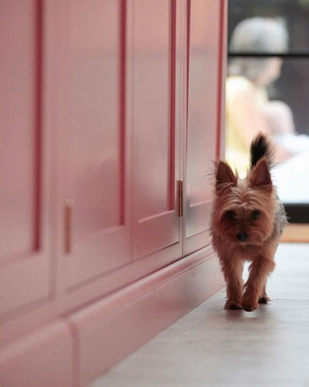 Bold pink. Strong grain. Big energy.
This kitchen doesn&rsquo;t whisper. 
#BoldDesign #KitchenInspo #FallowWorkshops