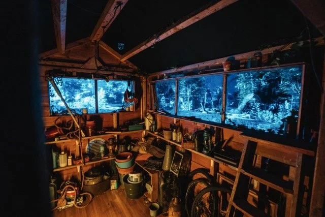 Inside a rustic wooden cabin with large windows showing a blue-tinted forest outside, cluttered with shelves holding various tools and supplies.