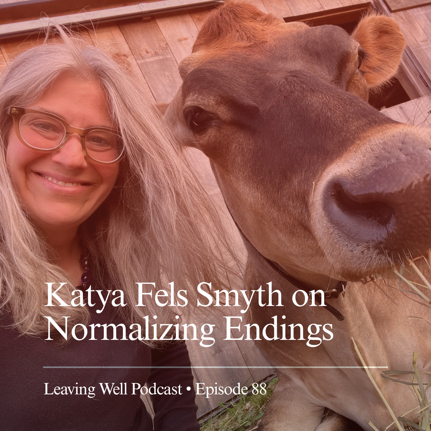 88: Katya Fels Smyth on Normalizing Endings