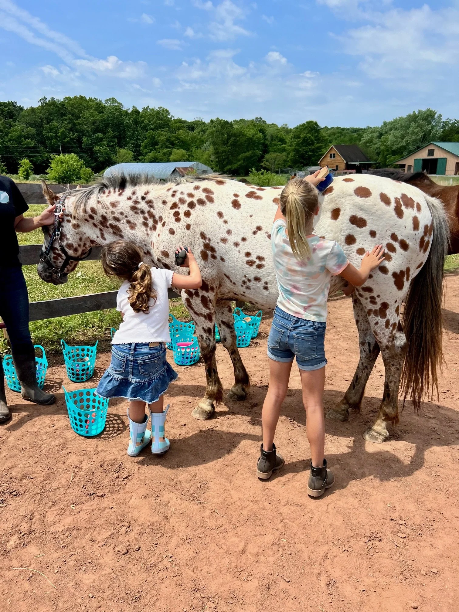 Summer Day Camp, June