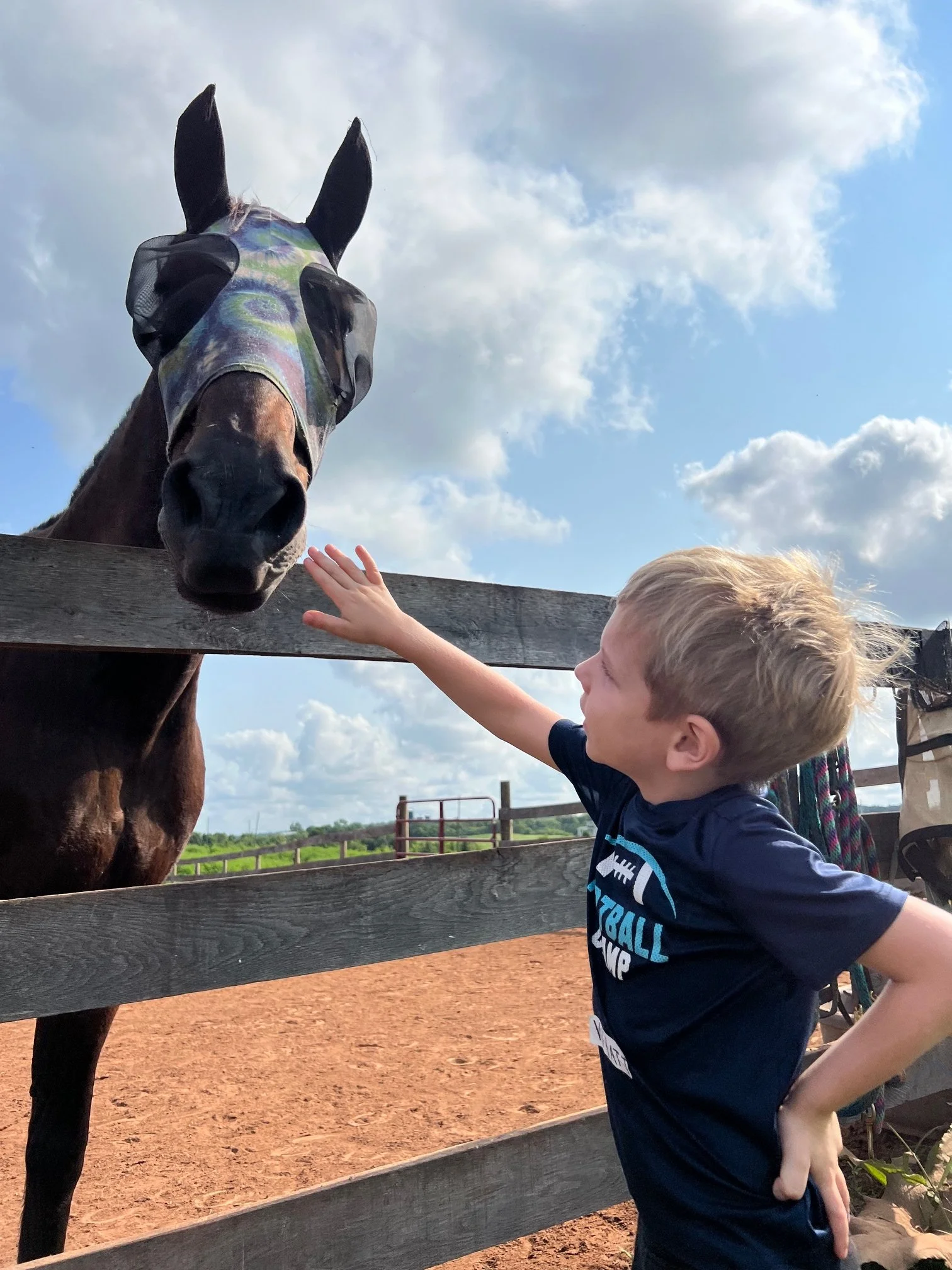 Meet a Horse Day Farm Tours