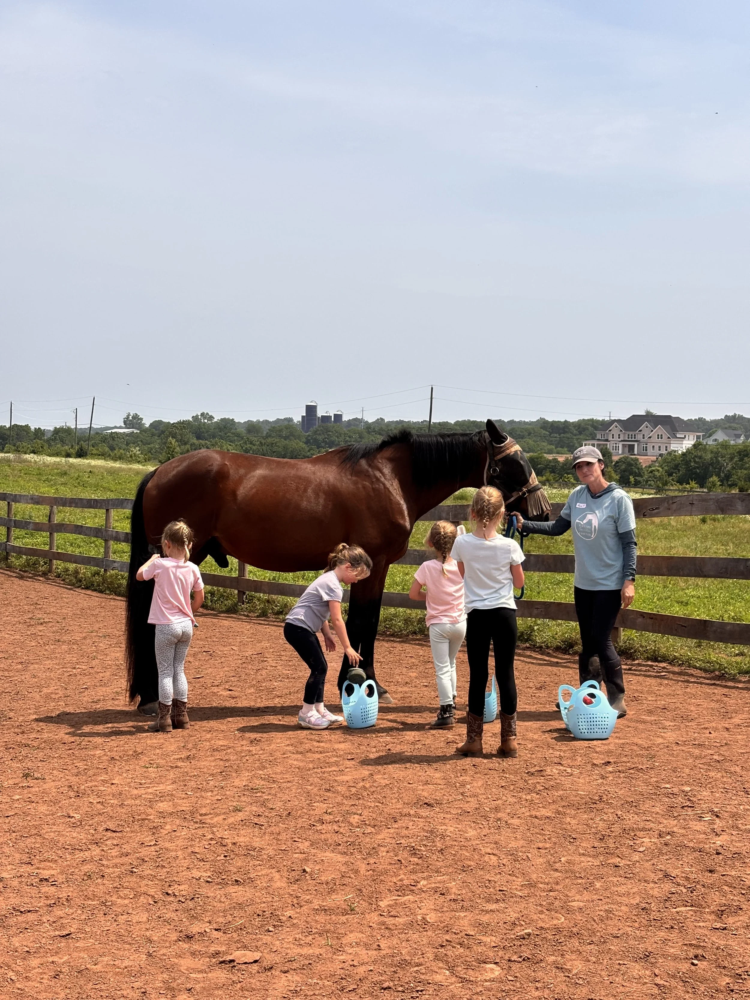 Horse Care Summer Day Camp, June