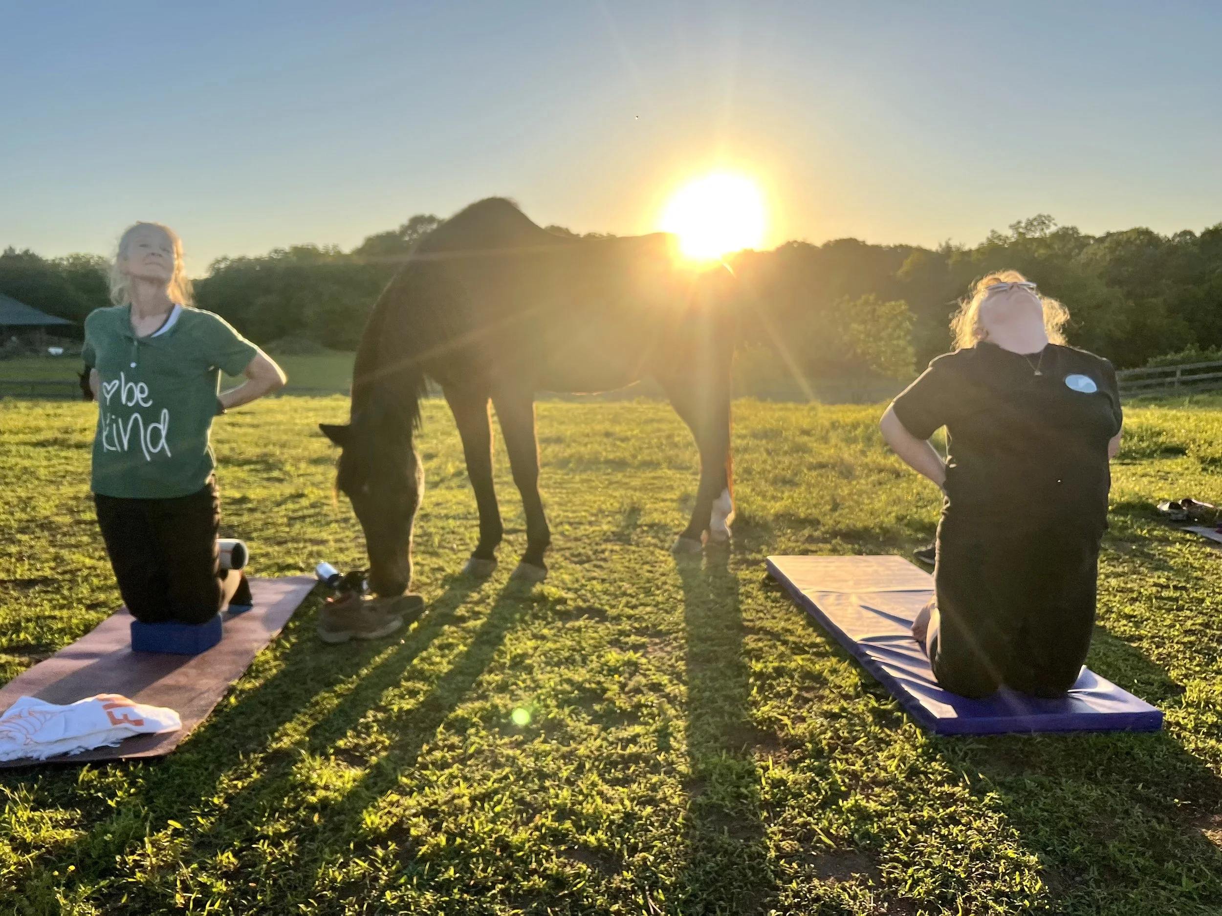 Sunset Yoga on the Farm