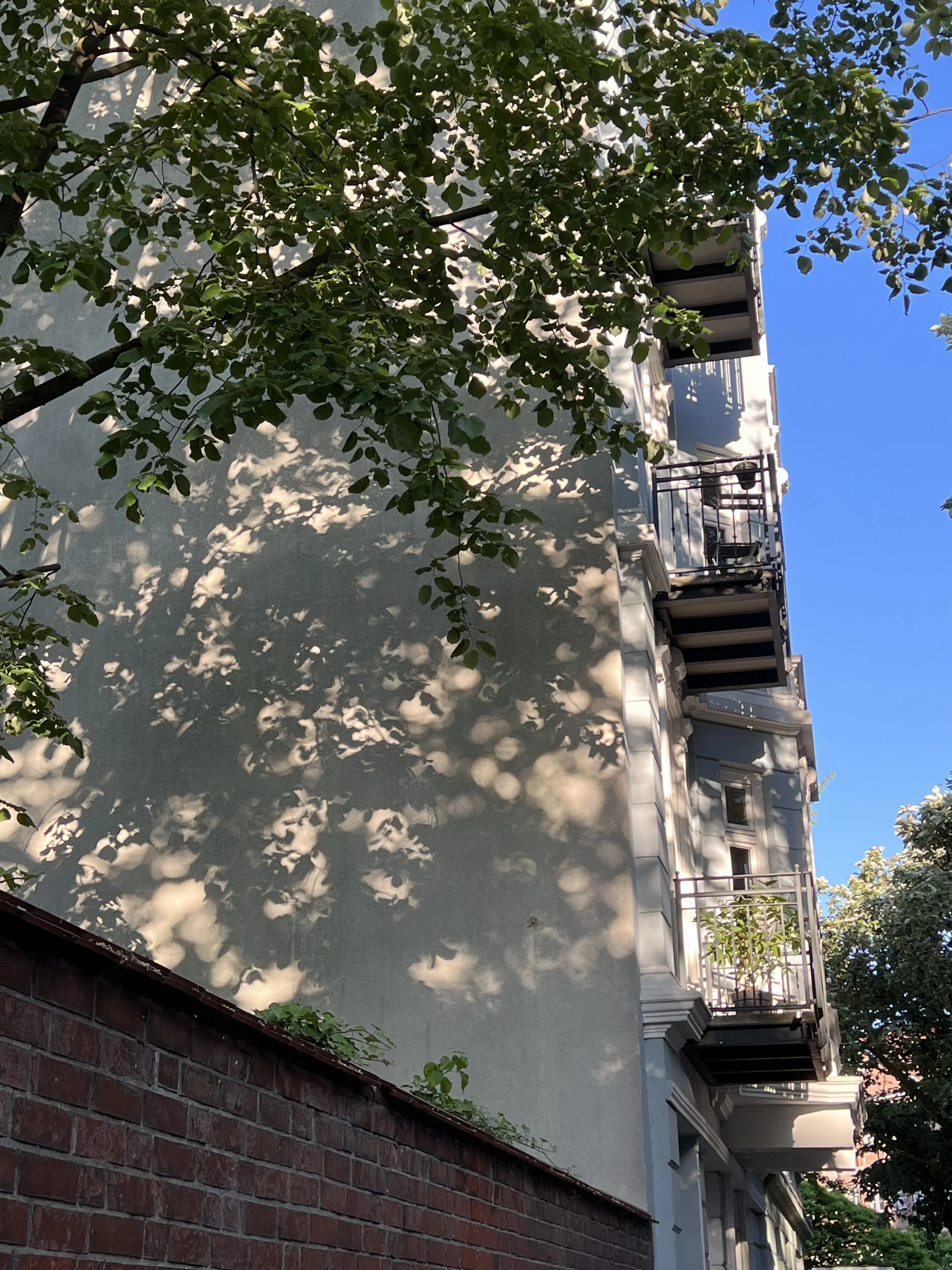 IMG_2174.jpeg