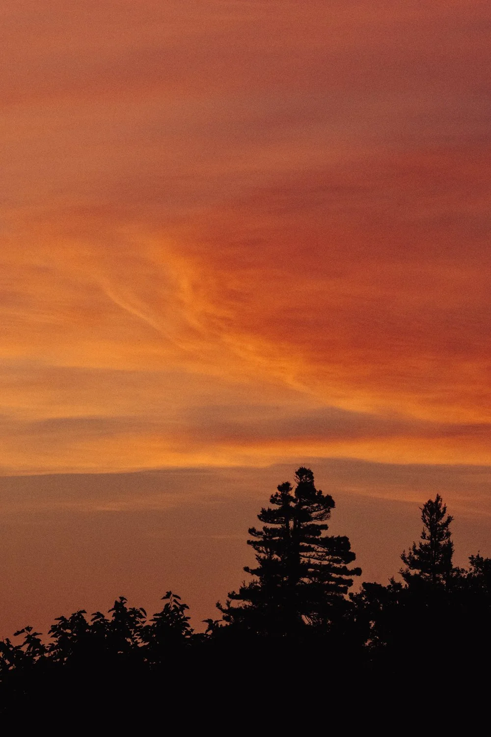 coucher de soleil certes et graveyron nuages oiseaux (3).jpg