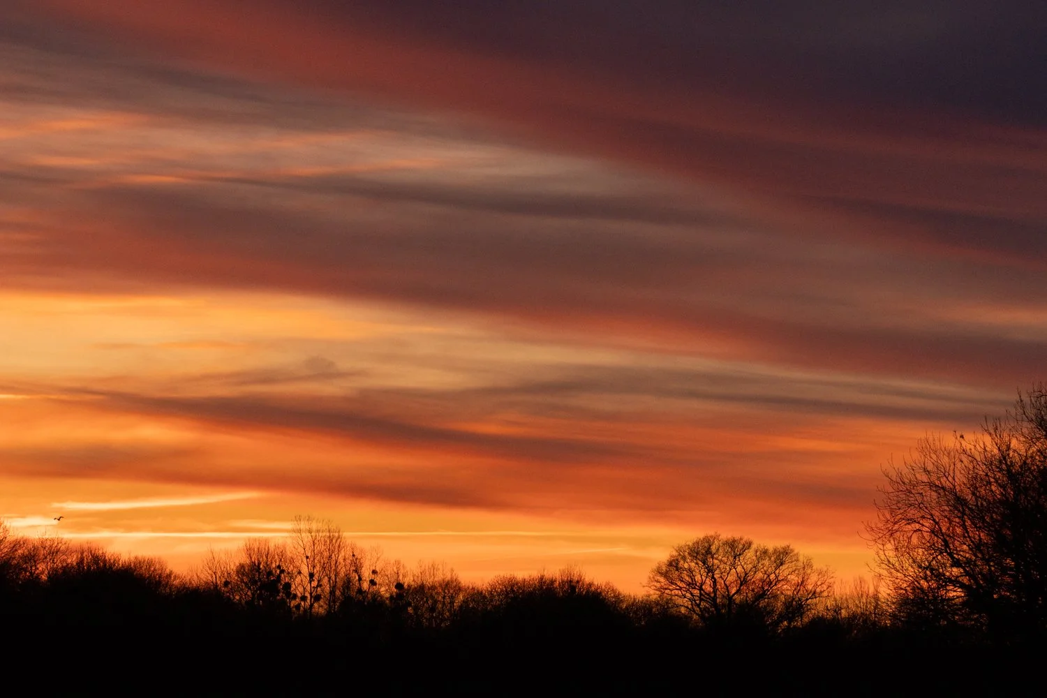 sunset etang chateliers teleobj (32).jpg