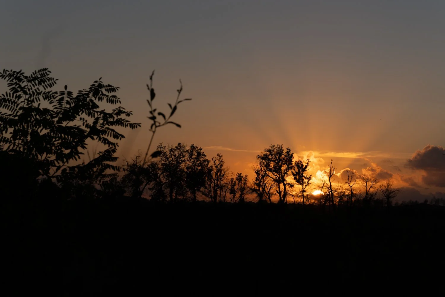 sunset hostens (4).jpg