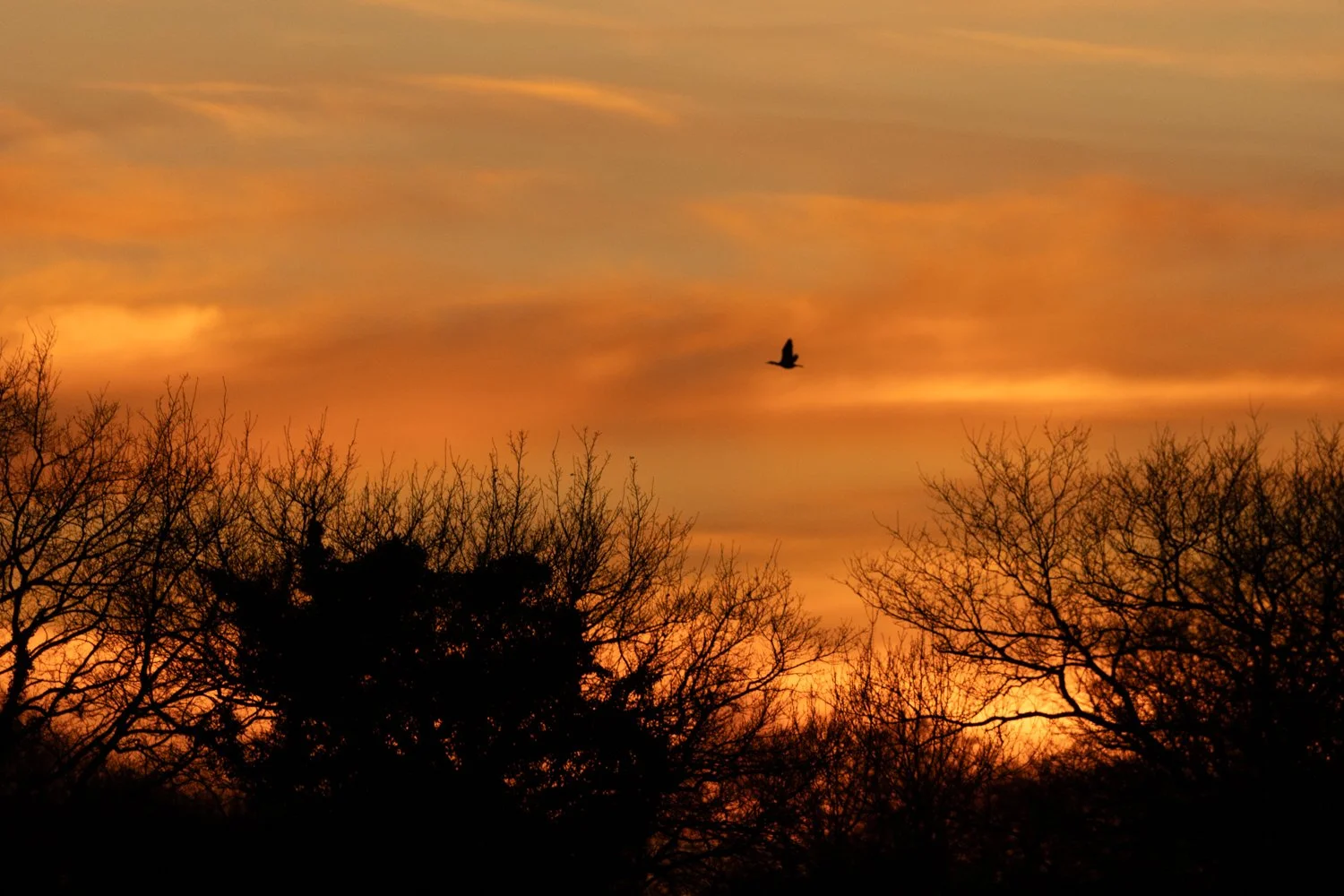 sunset etang chateliers teleobj (33).jpg