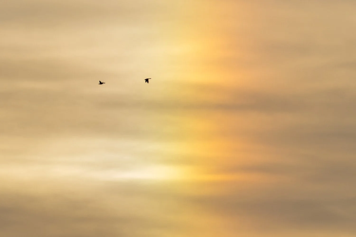 coucher de soleil certes et graveyron nuages oiseaux (13).jpg