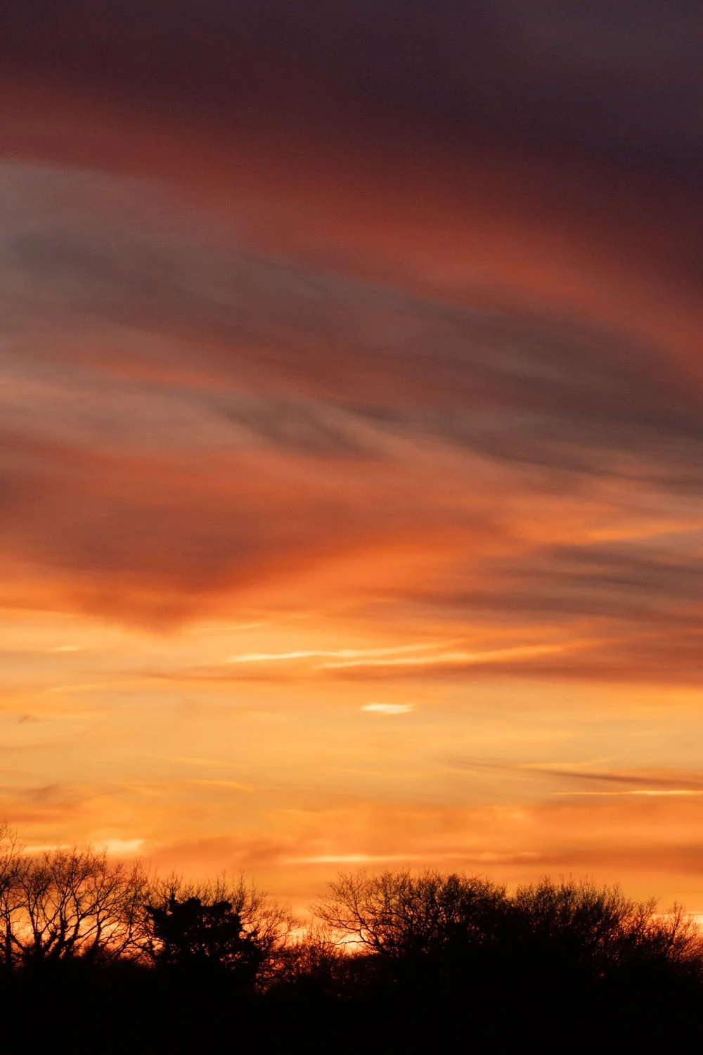 sunset etang chateliers teleobj (30).jpg