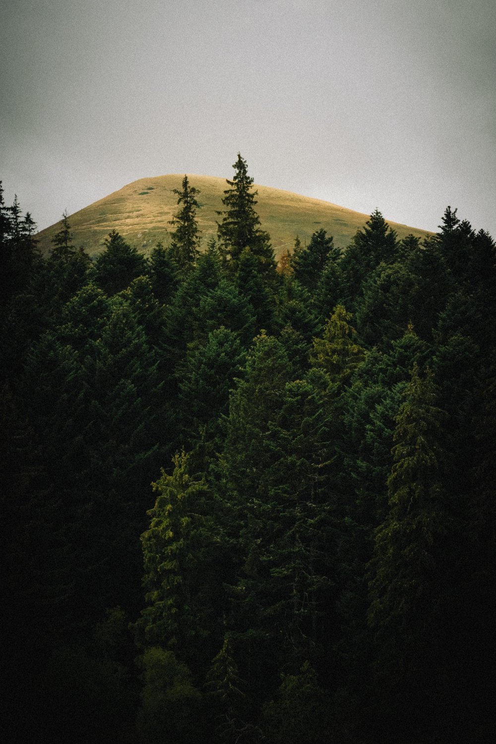 5X4A7146.jpg