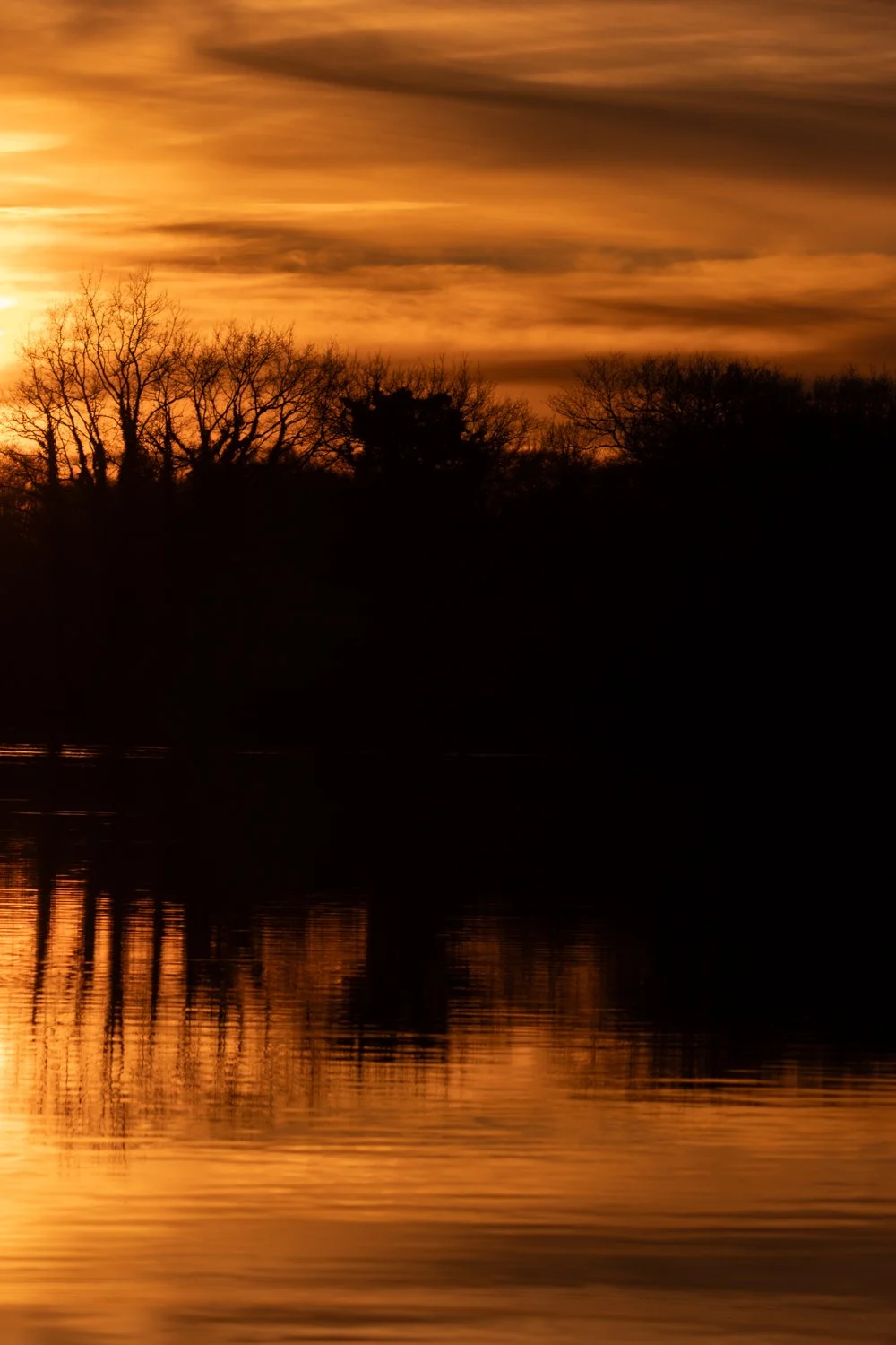 sunset etang chateliers teleobj (7).jpg