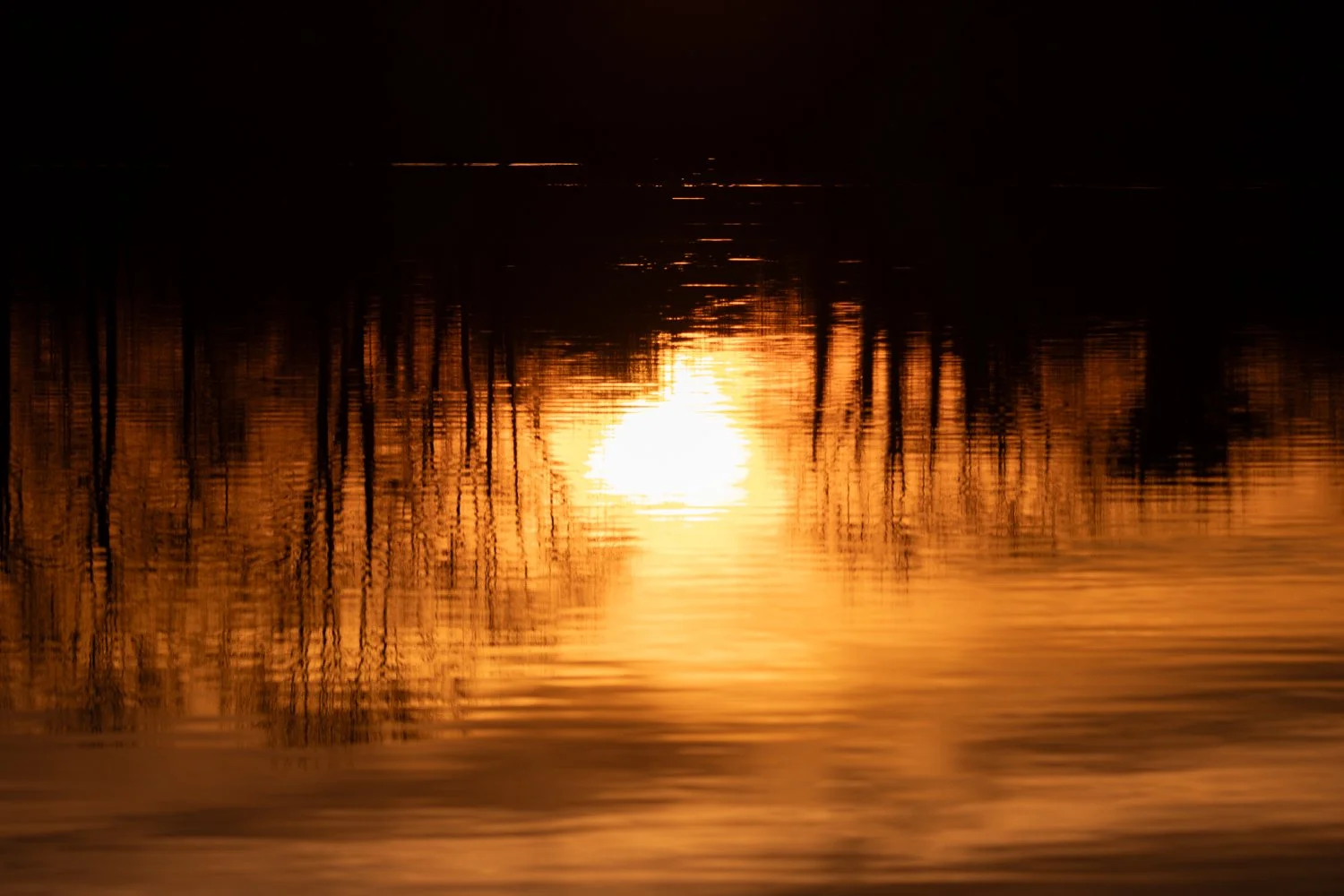 sunset etang chateliers teleobj (10).jpg