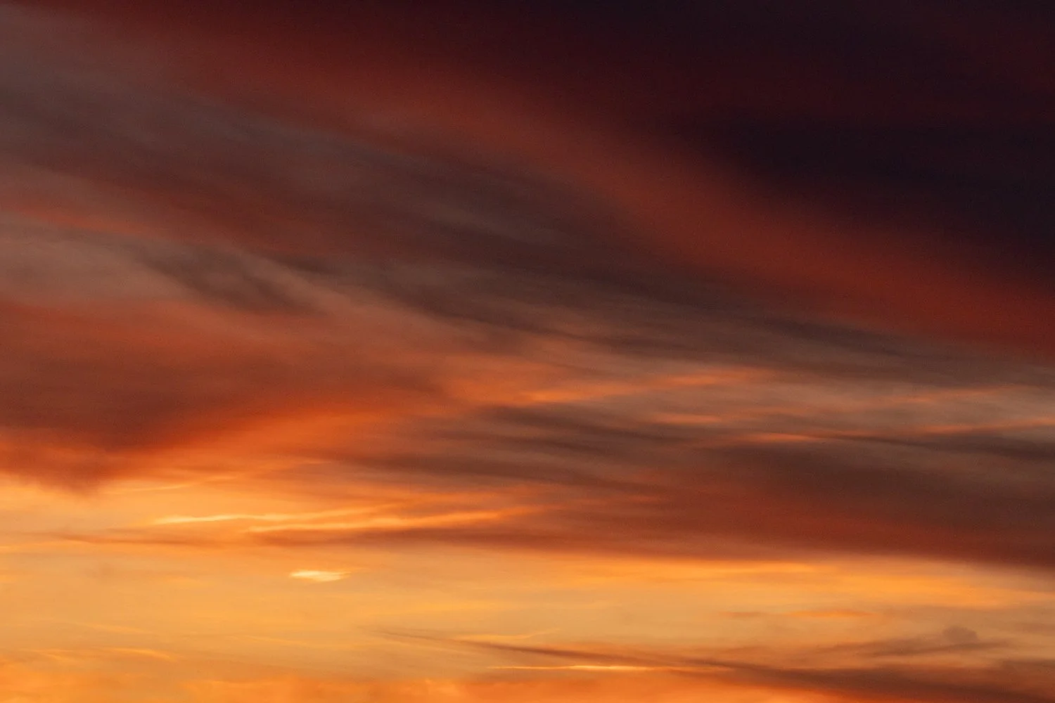 sunset etang chateliers teleobj (31).jpg