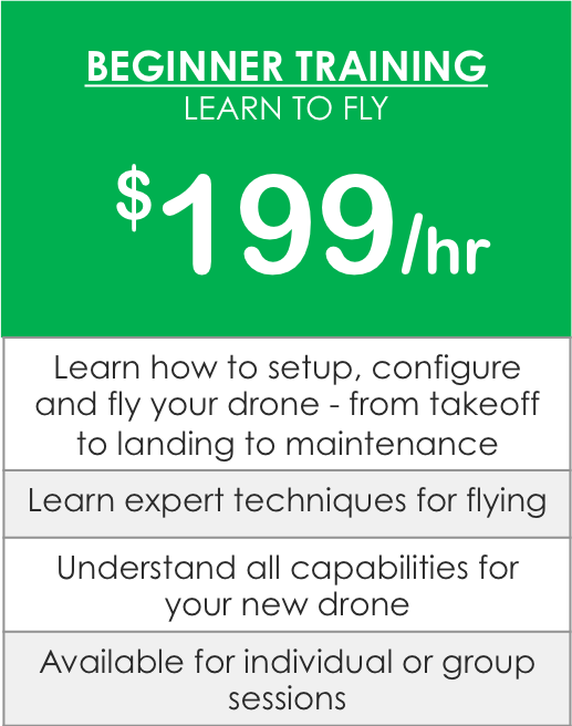 Beginner Training.png