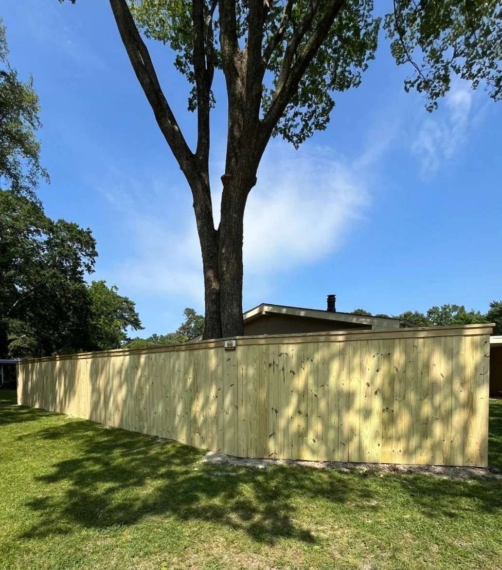 Wood - top plate - tall tree - shadow.jpeg