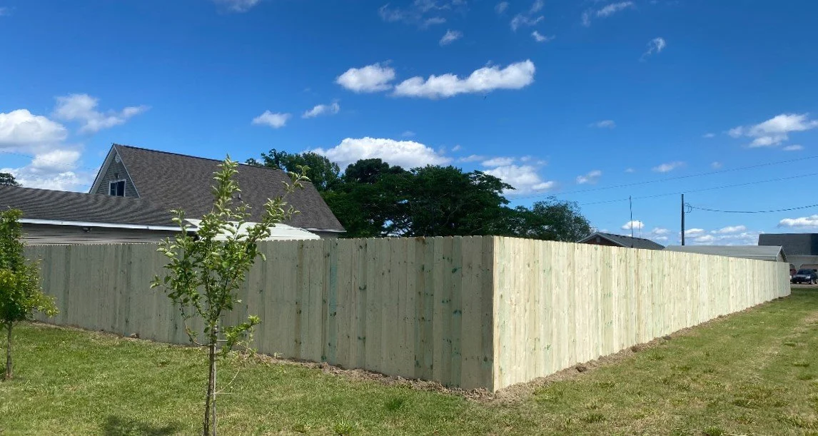 image_123650291 (32).JPG