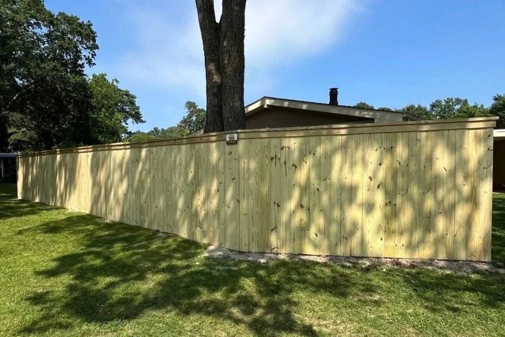 Wood - top plate - tall tree - shadow.jpg