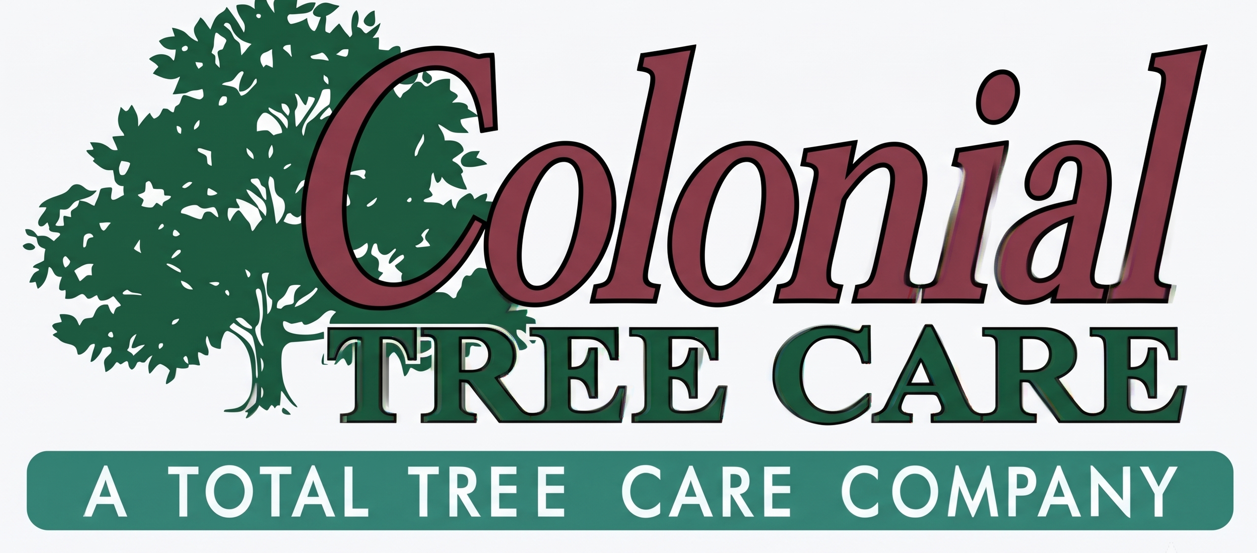 Tree Removal Service Chesapeake