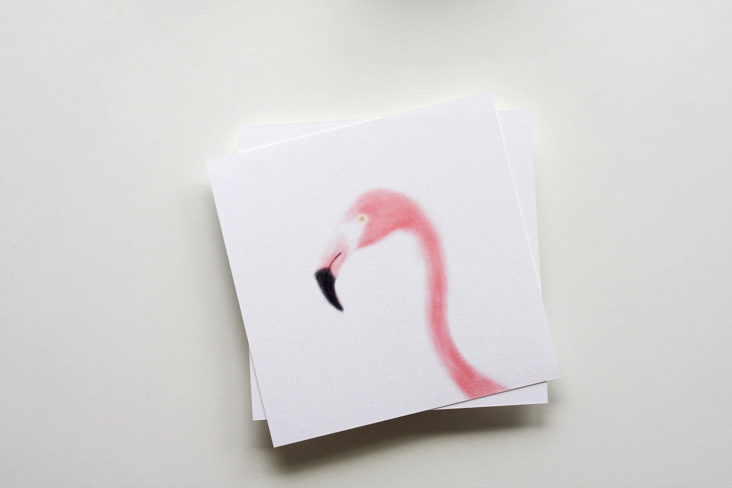 flamingo greeting card