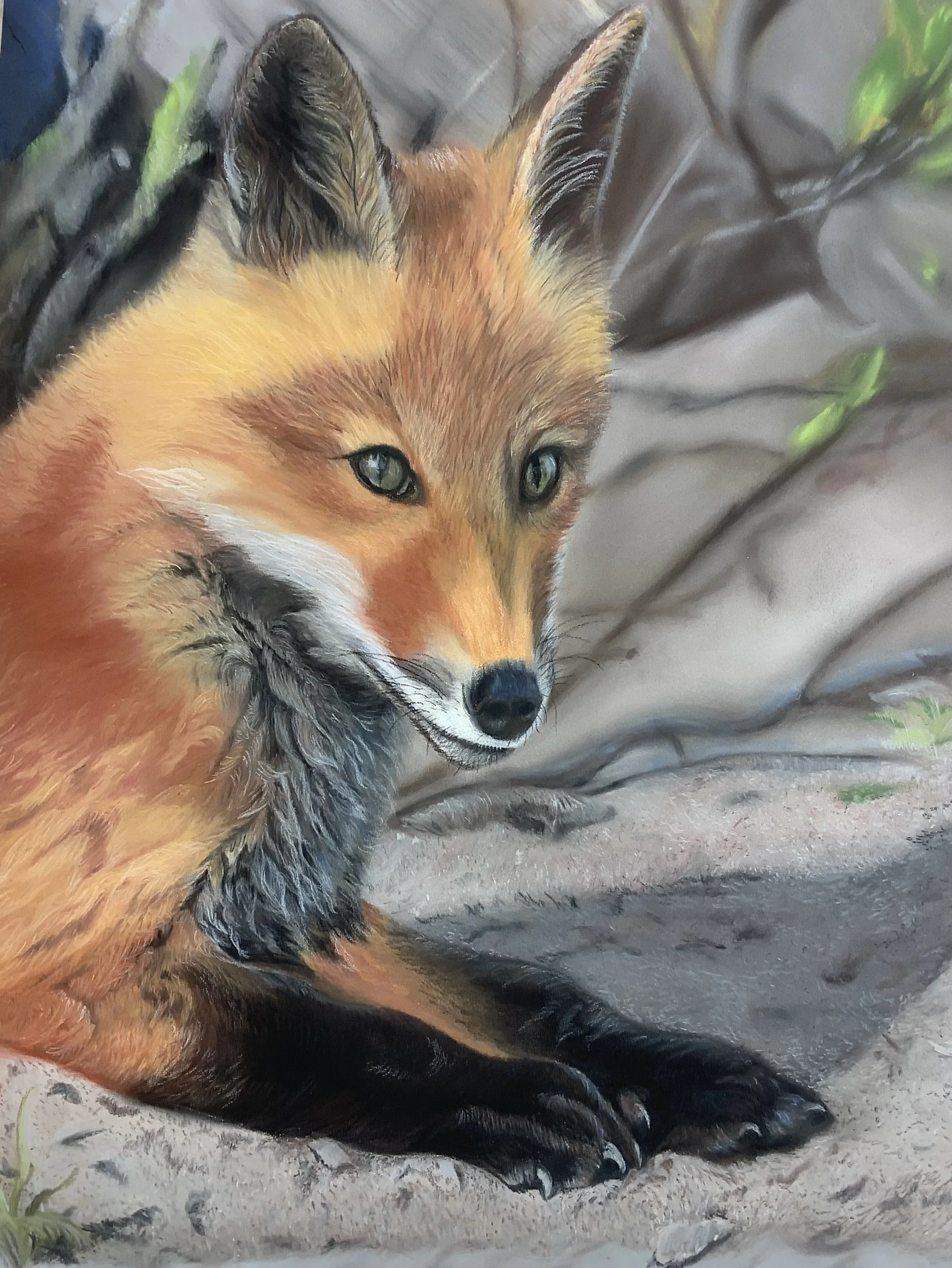 Available 11x15
$800