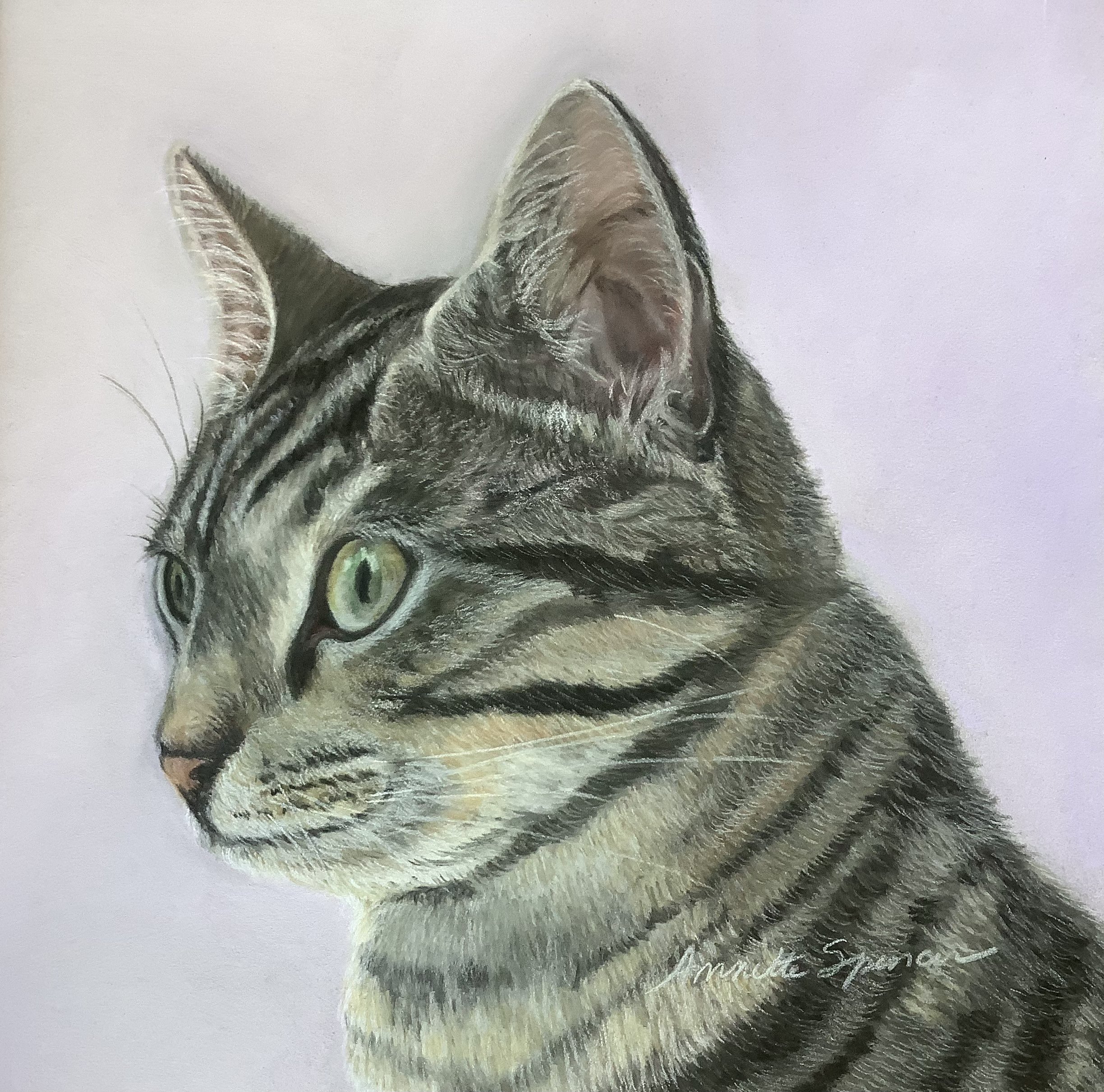 Sold Commission 9x9