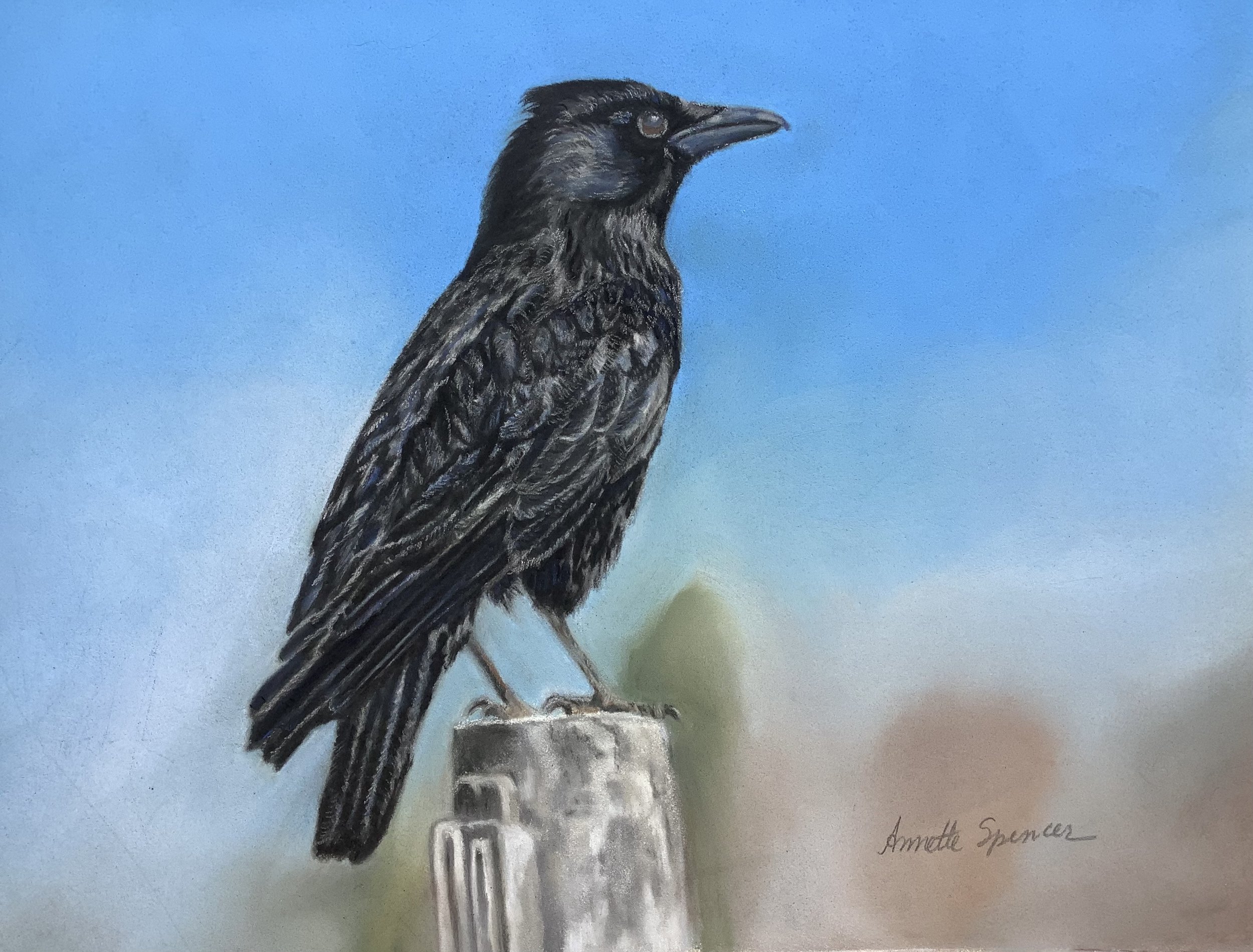 Sold Commission 8x10