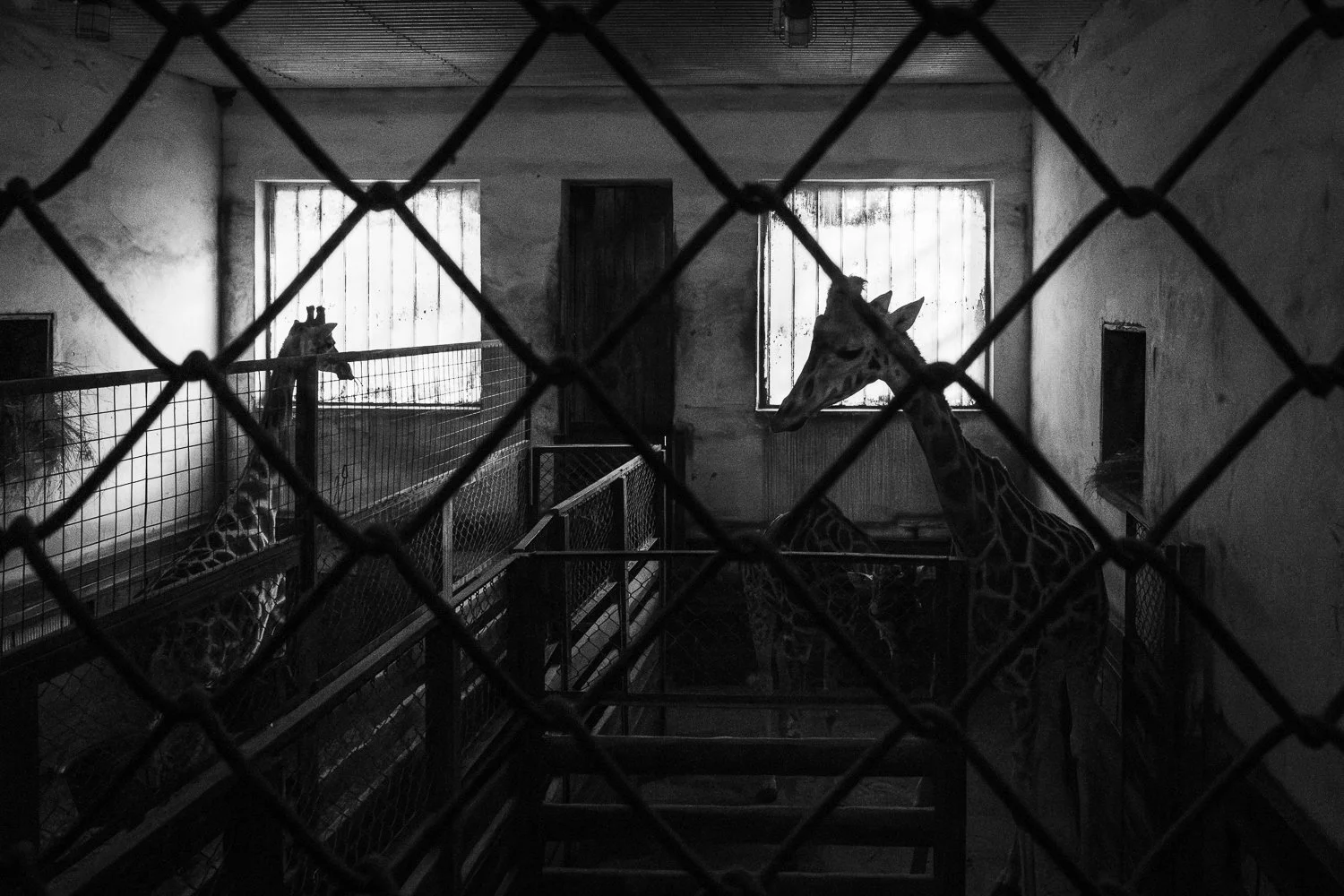 ZOO Bratislava, 2022