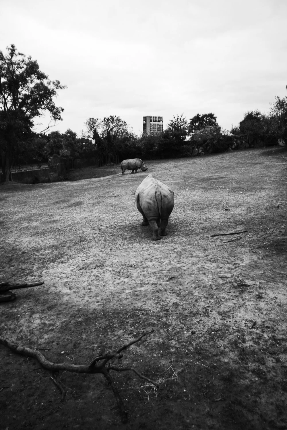 ZOO Bratislava, 2023