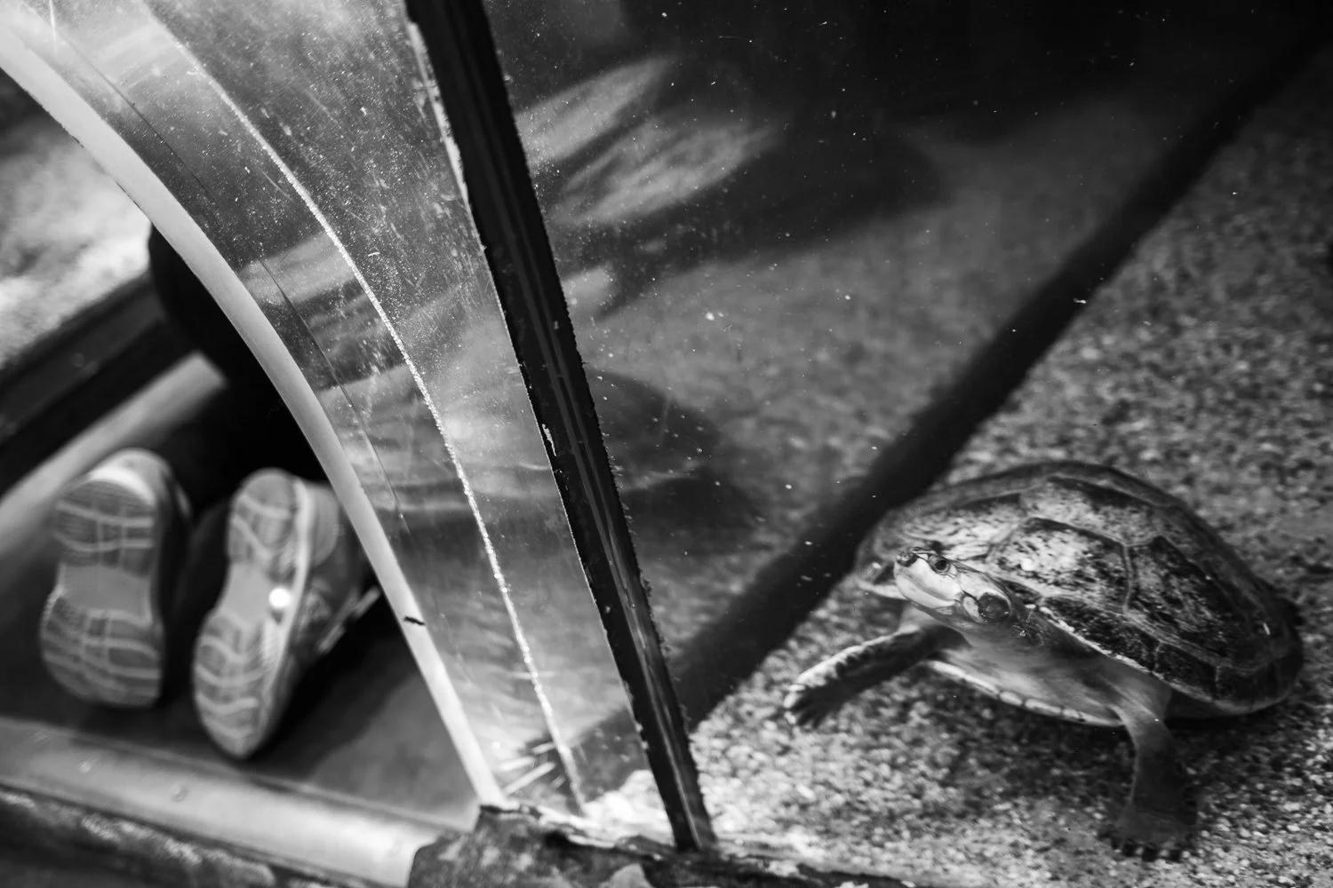 Haus des Meeres, 2024