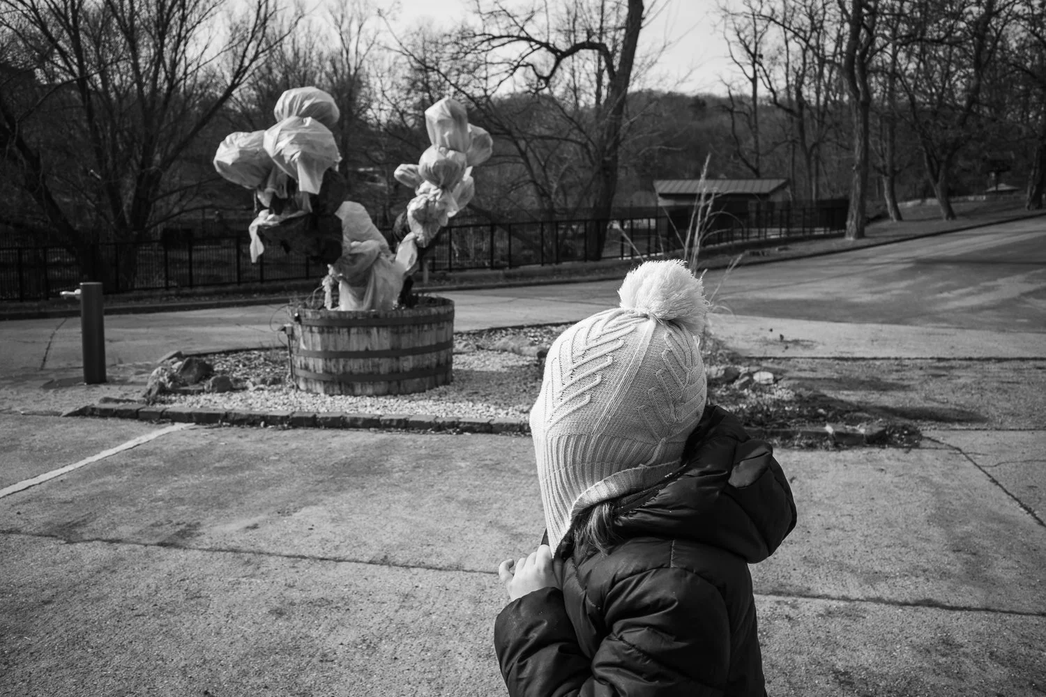 ZOO Bratislava, 2024