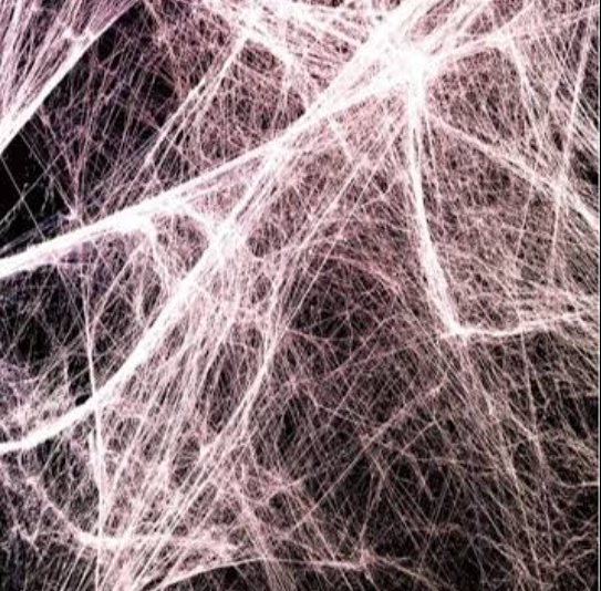 Fascia myths that should die (but refuse to)