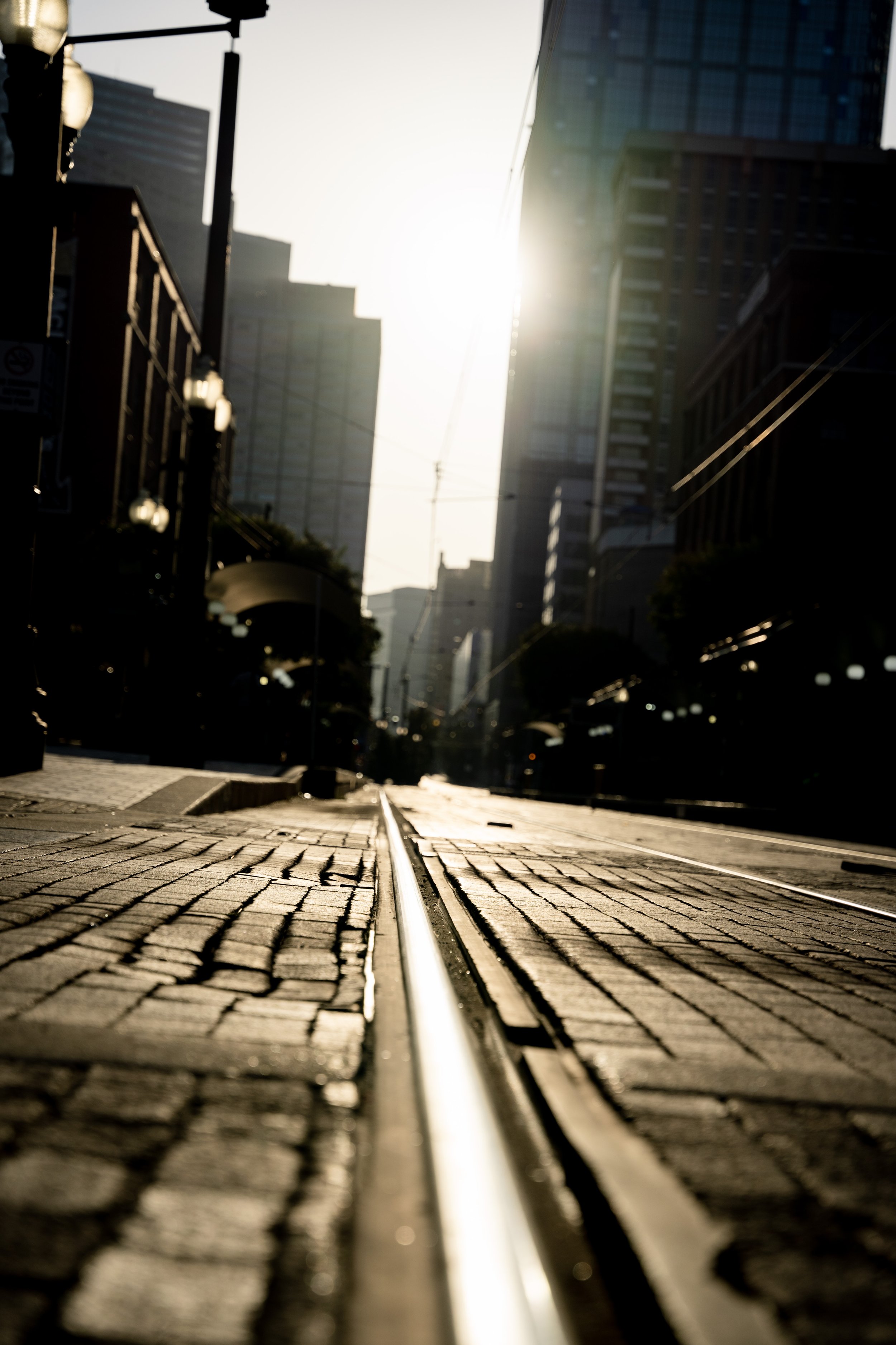 DSC08153.jpg