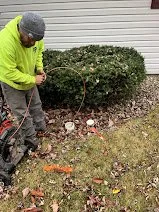 Septic line jetting in Walkerton