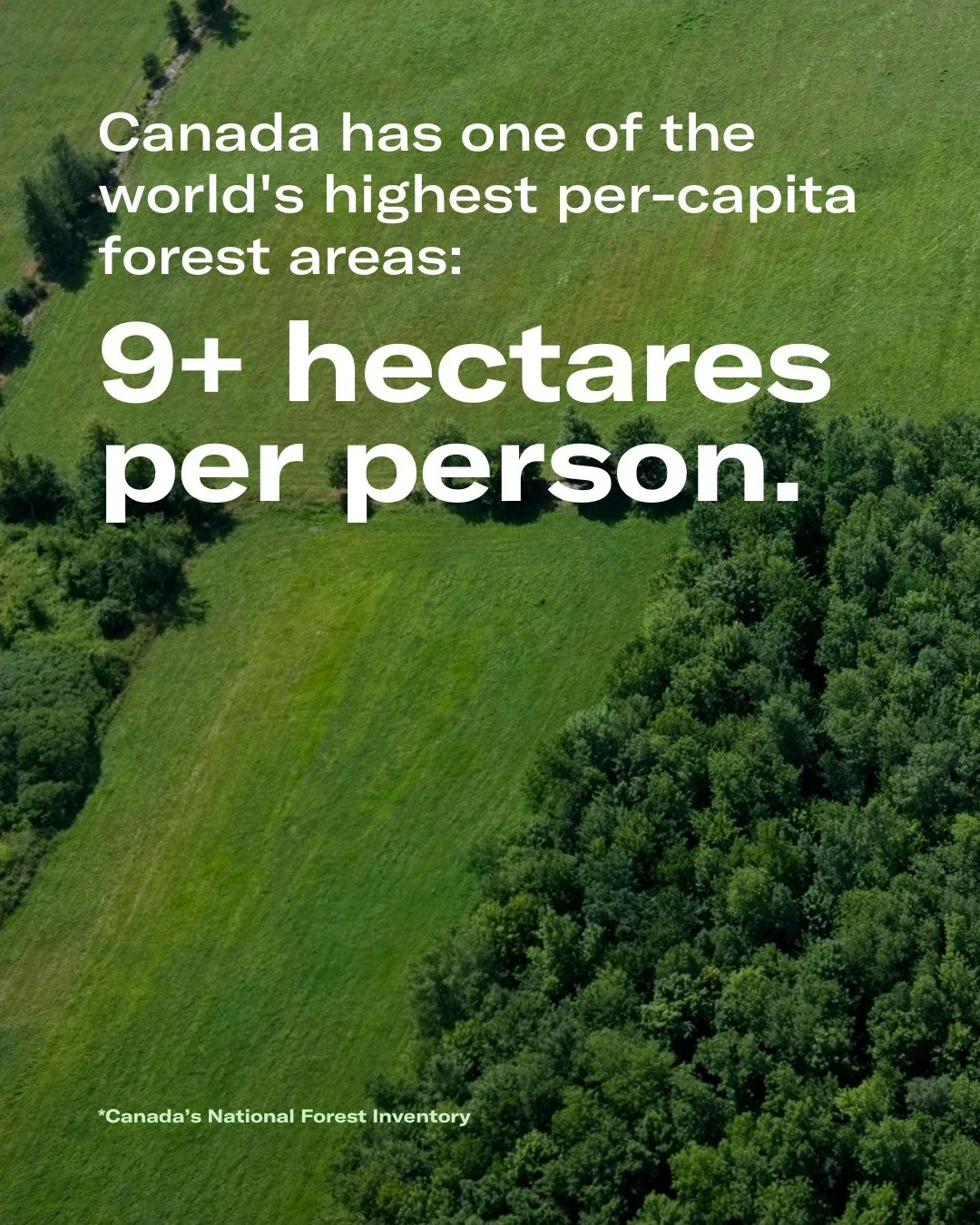 9+ hectares of forest per person in Canada &ndash; that&rsquo;s a whole lot of green. We&rsquo;re lucky to have it, and it&rsquo;s our responsibility to protect it. 🌲

#CoolClimateClub #ForestStewardship #ClimateResponsibility