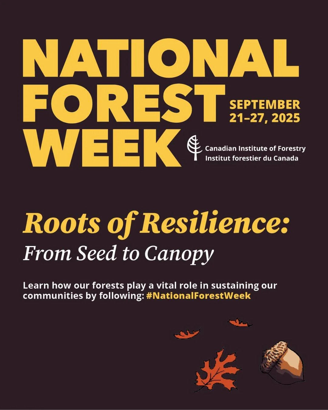 What is National Forest Week (NFW)? 🤔 NFW is a thematic week in Canada, held annually in September. The week was first known as Forest Fire Prevention Week, established in 1920. It was renamed National Forest Week in 1967 to broaden the challenges f