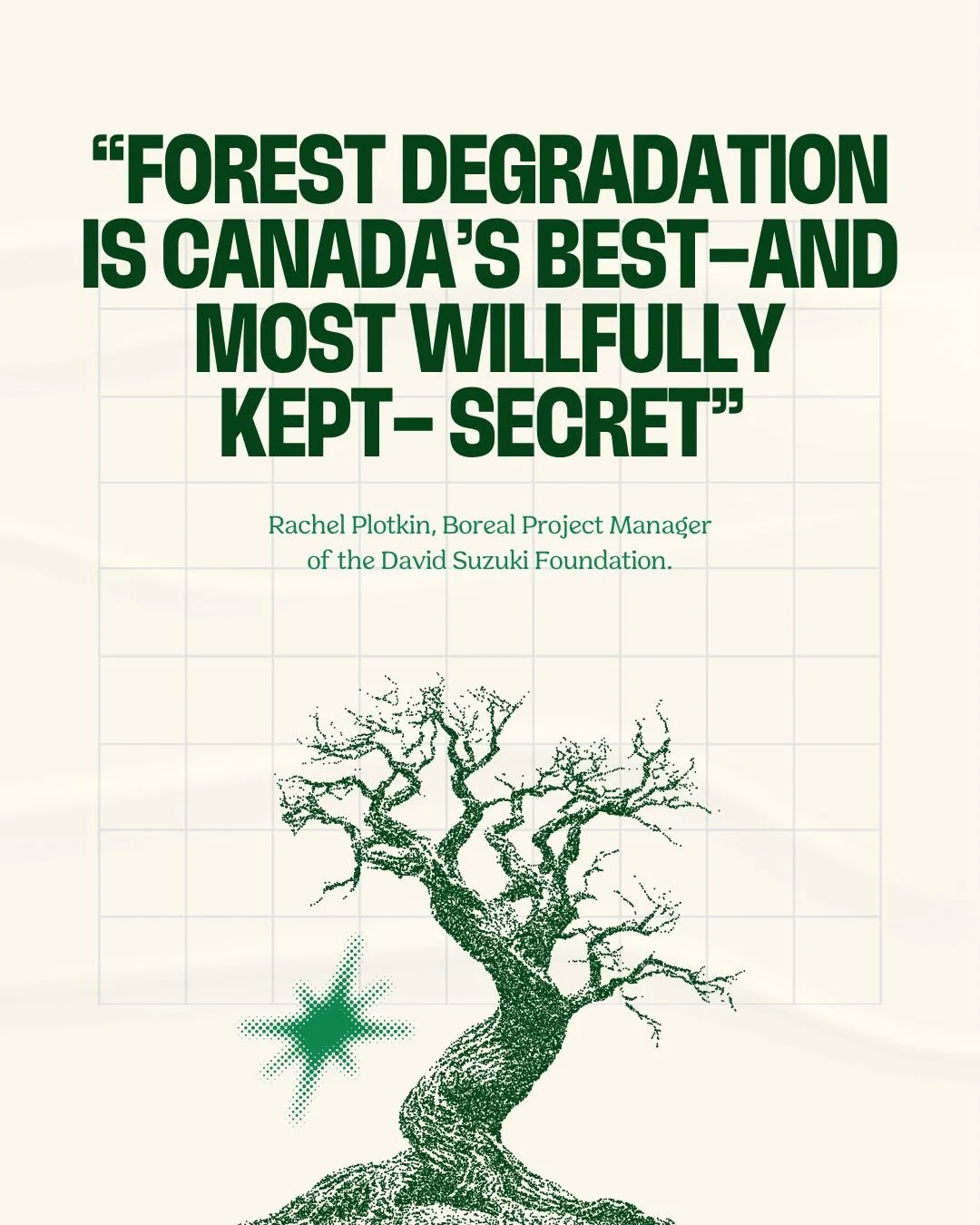 Do you know the difference between deforestation and forest degradation? 🌲💡 Swipe to learn how Canadian land and wildlife are impacted 👉

#ClimateAction #Deforestation #ForestDegradation #CoolClimateClub #CanadianForests #PlantTrees