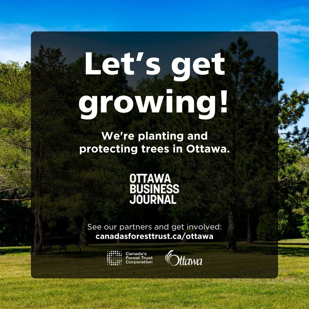 The Ottawa Business Journal (OBJ) is partnering with Ottawa-based Canada&rsquo;s Forest Trust Corporation (CFTC) and the City of Ottawa to support the Let&rsquo;s get growing! campaign. By joining this initiative, we're helping to plant and protect t