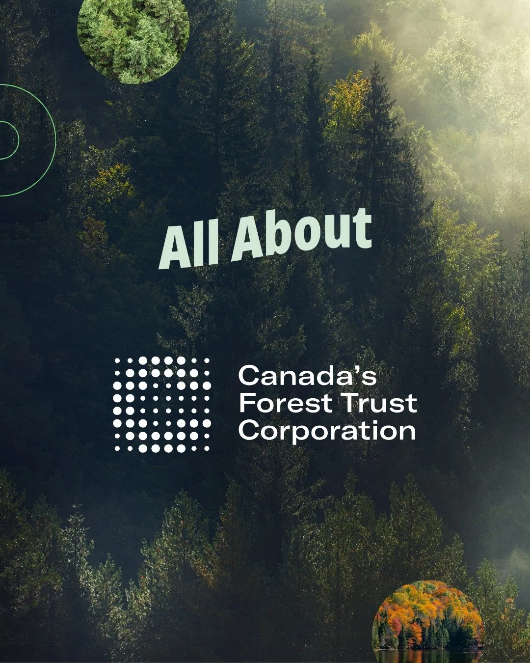Allow us to reintroduce ourselves! 👋 Canada&rsquo;s Forest Trust Corporation empowers businesses to plant and protect Smart Forests&trade;. Our technology suite showcases your transparent, measurable impact to engage with your employees and customer