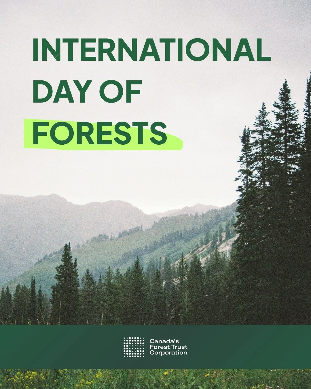 On International Day of Forests, we're proud to highlight how we plant and protect trees in Canada. 🇨🇦🌲

Swipe to learn more 👉

#internationaldayofforests #climateaction #sustainability #brandtransparency #climateimpact
