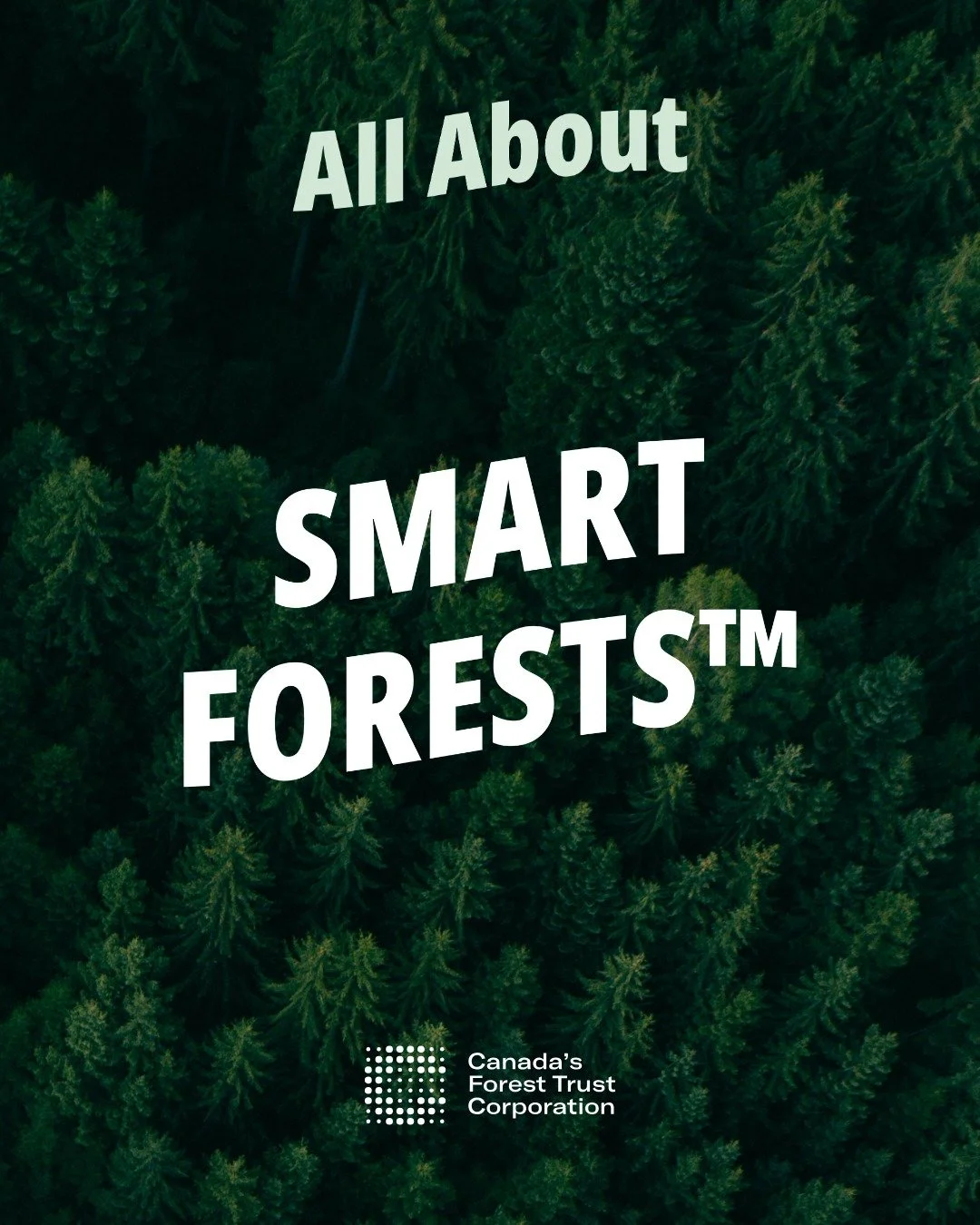 We mention Smarts Forests&trade; often here at CFTC, but what are they?

We pair a six-phase approach to tree planting with proprietary technology to grow Smart Forests&trade;. To ensure that your impact is transparent and trackable, CFTC provides ou