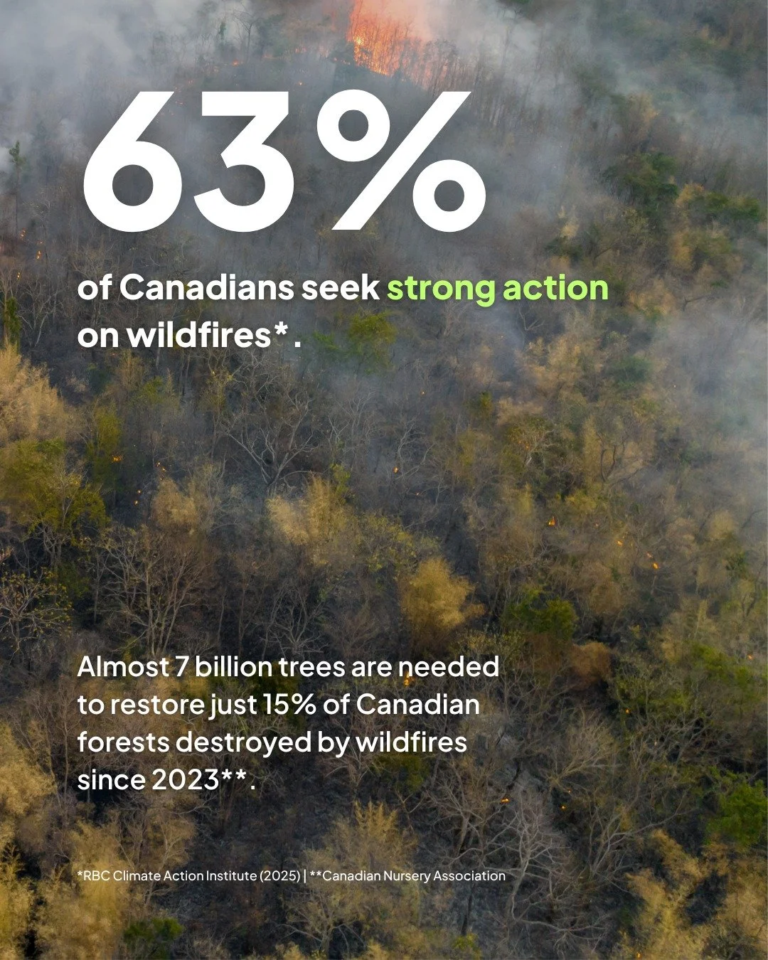 63% of Canadians are asking for stronger wildfire action, and the stakes couldn&rsquo;t be clearer.

Nearly 7 billion trees are needed just to begin restoring what&rsquo;s already been lost. This isn&rsquo;t a future problem, it&rsquo;s happening now