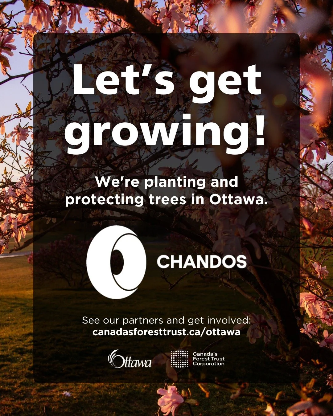 Happy Earth Day! Chandos Construction is pleased to announce that we&rsquo;re joining the Let&rsquo;s get growing! campaign. This pilot program for the Ottawa office brings us together with Canada&rsquo;s Forest Trust Corporation (CFTC) and the City 