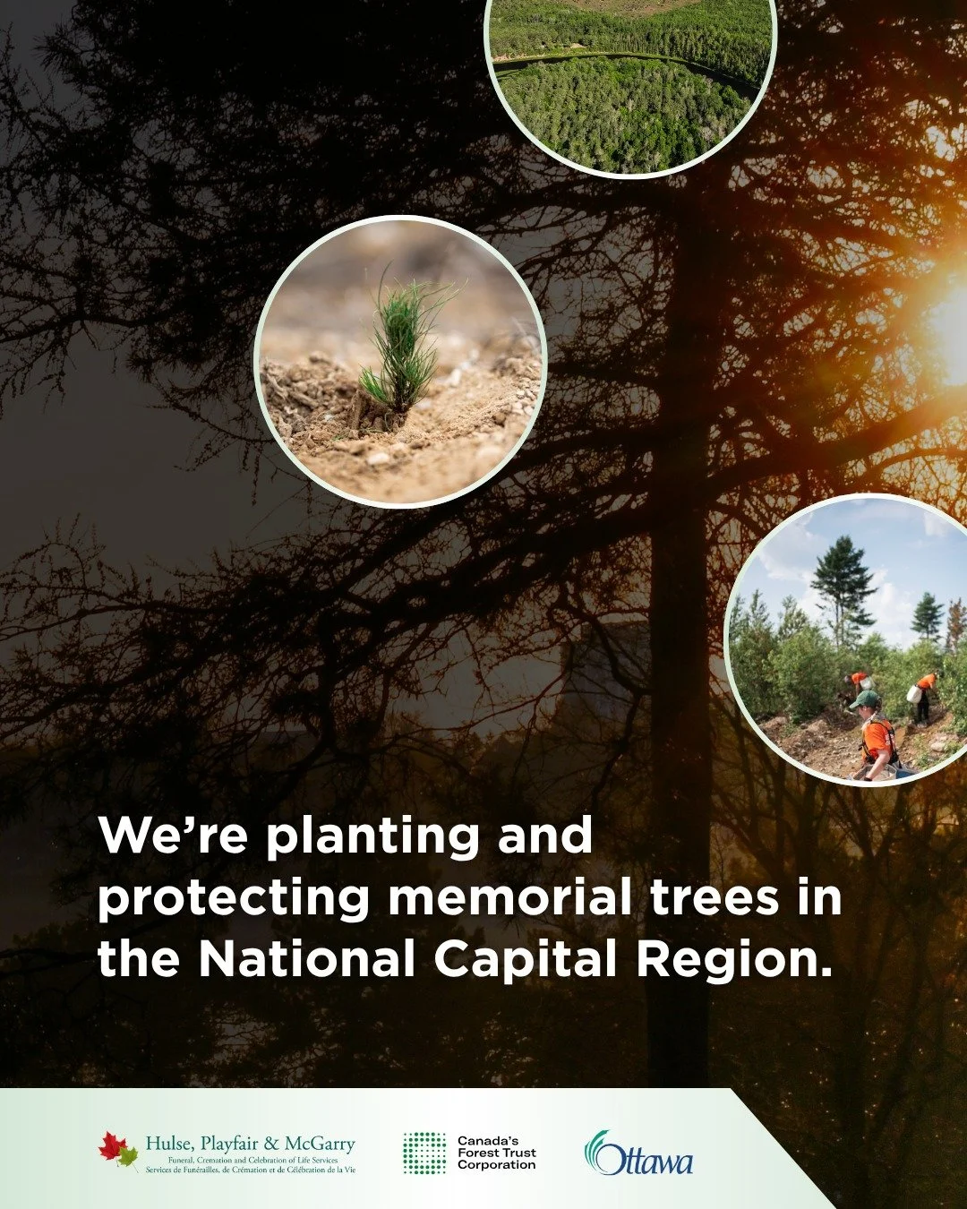 We&rsquo;re proud to partner with Canada&rsquo;s Forest Trust Corporation (CFTC) to take measurable climate action by planting and protecting trees in the City of Ottawa as part of the Let&rsquo;s get growing! campaign, and across Canada. Through thi