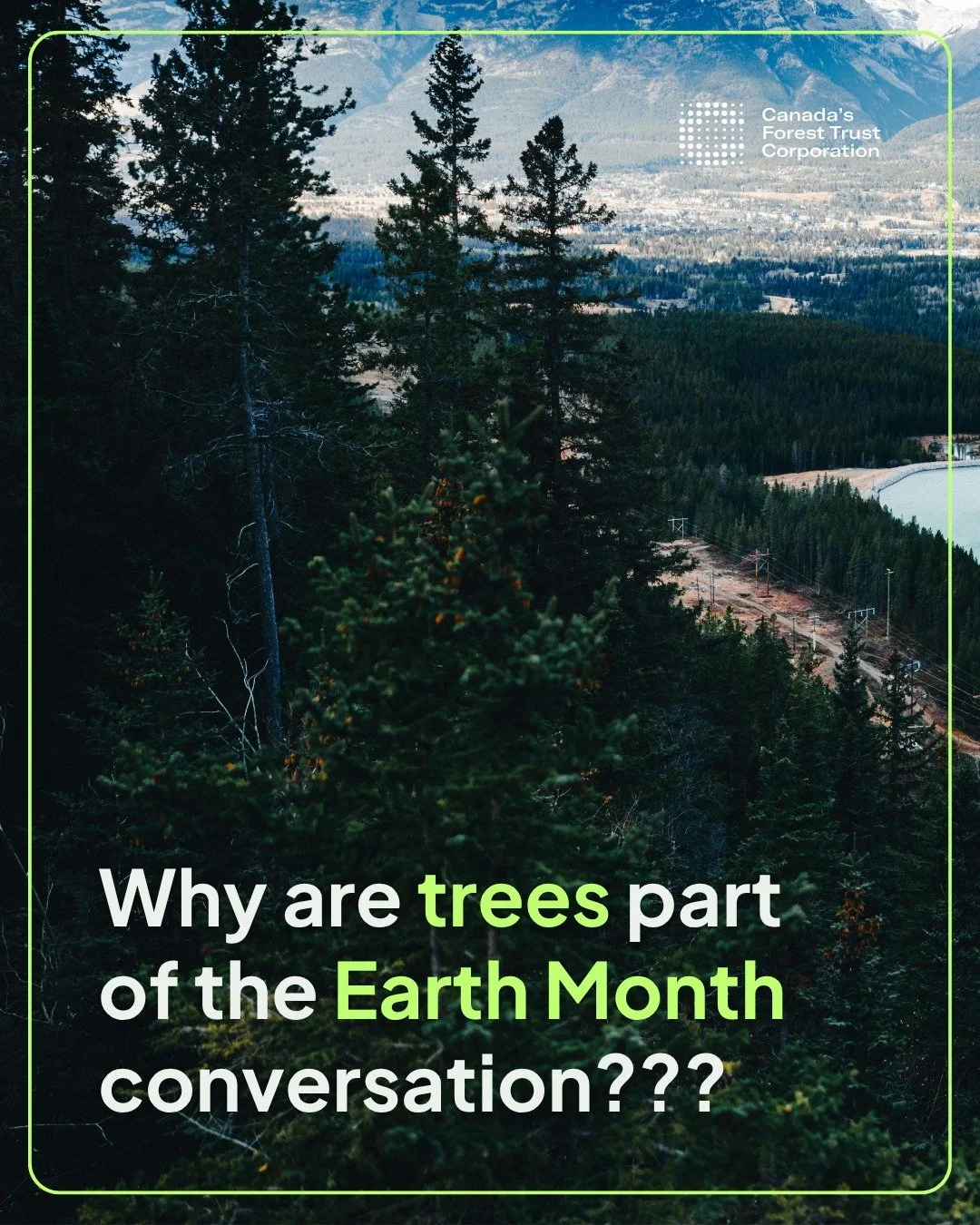 Why are trees such a big part of the Earth Month conversation? It's simple, we need trees for a healthy planet. Trees offer numerous benefits to humans and the planet alike. 🌲

At CFTC, we're committed to contributing to the planet's health by plant