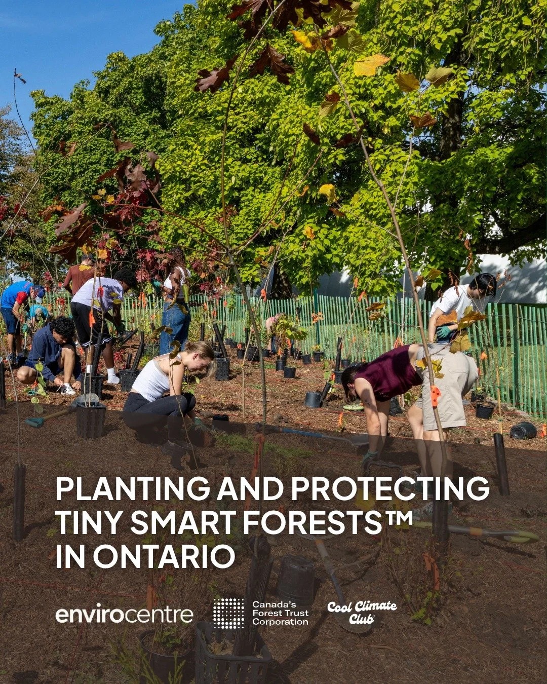 In advance of International Day for Biological Diversity tomorrow, we&rsquo;re proud to launch a new partnership between @envirocentre, @canadasforest (CFTC), and @coolclimateclub (CCC) to help grow Tiny Smart Forests&trade; across Ontario. 

Busines